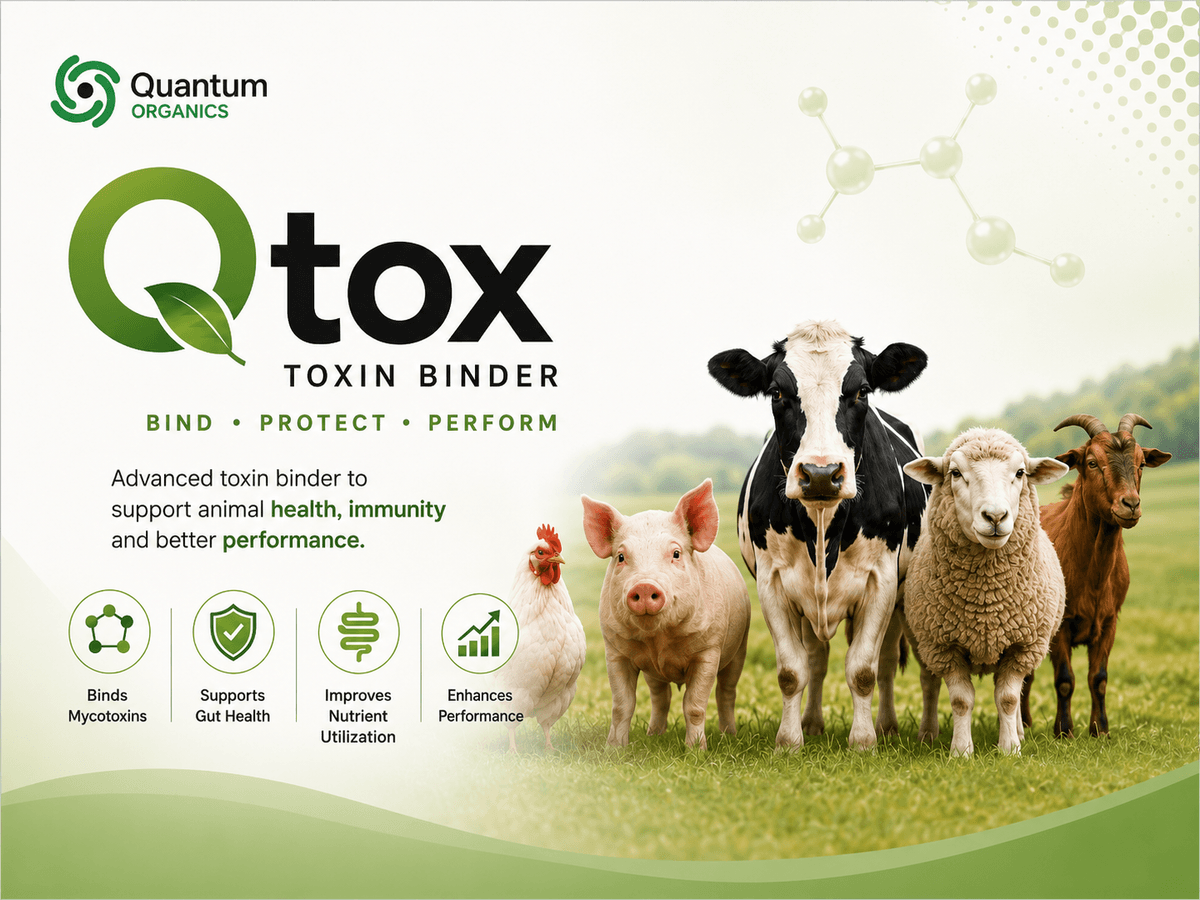 Qtox