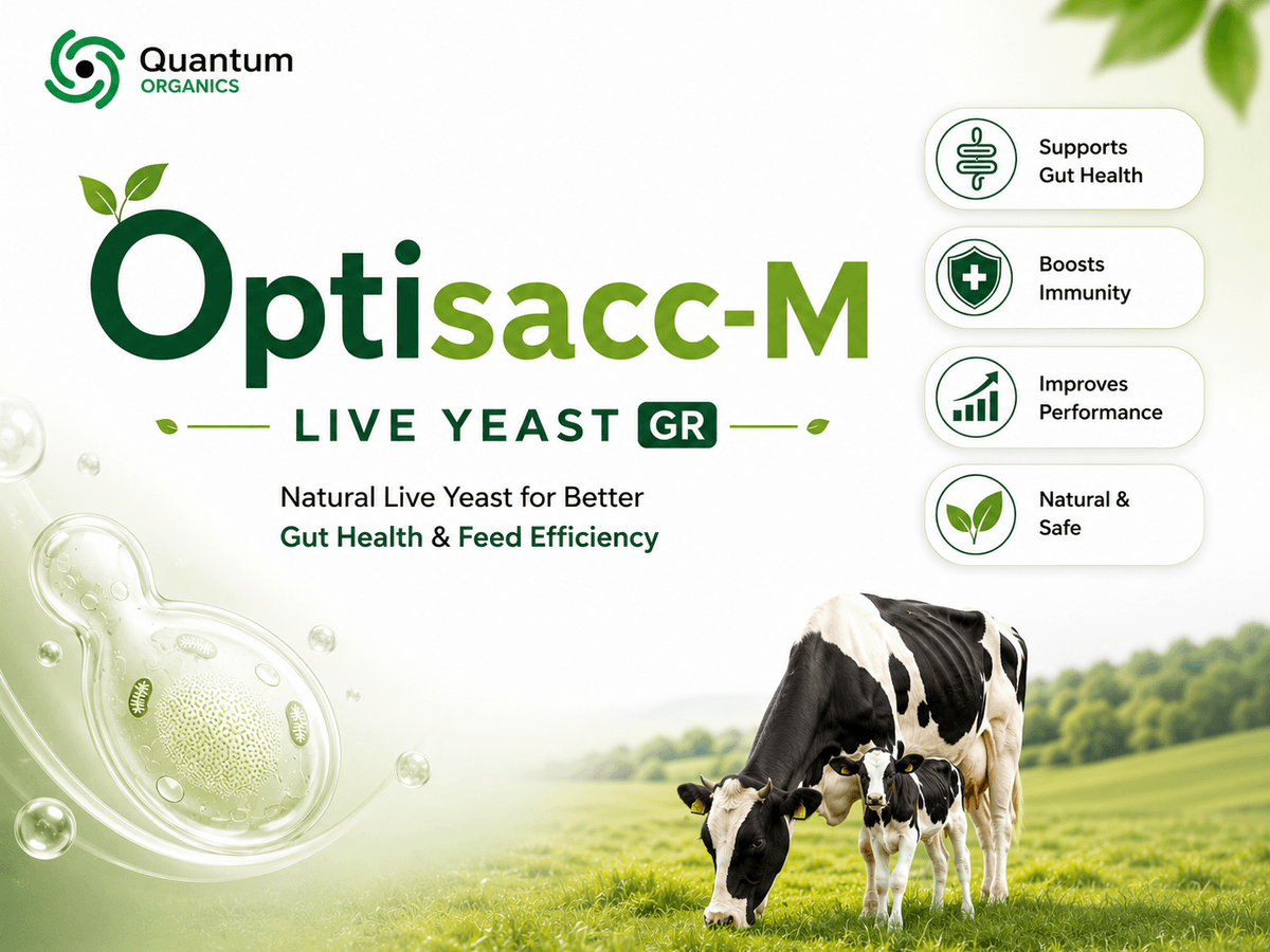 Optisacc-M