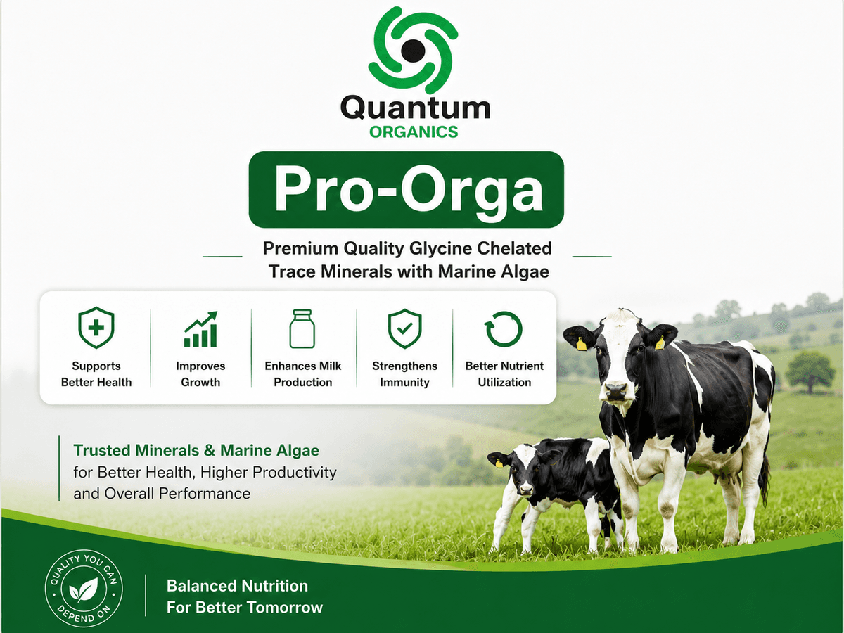 Pro-Orga