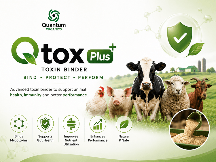 Qtox Plus